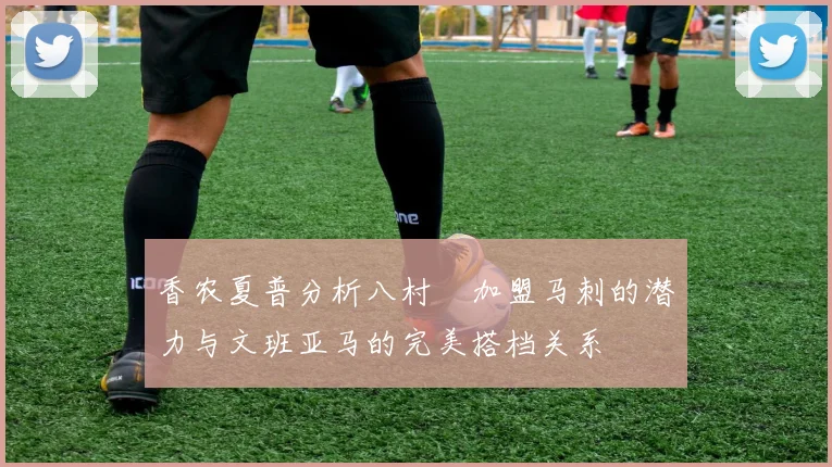香农夏普分析八村塁加盟马刺的潜力与文班亚马的完美搭档关系